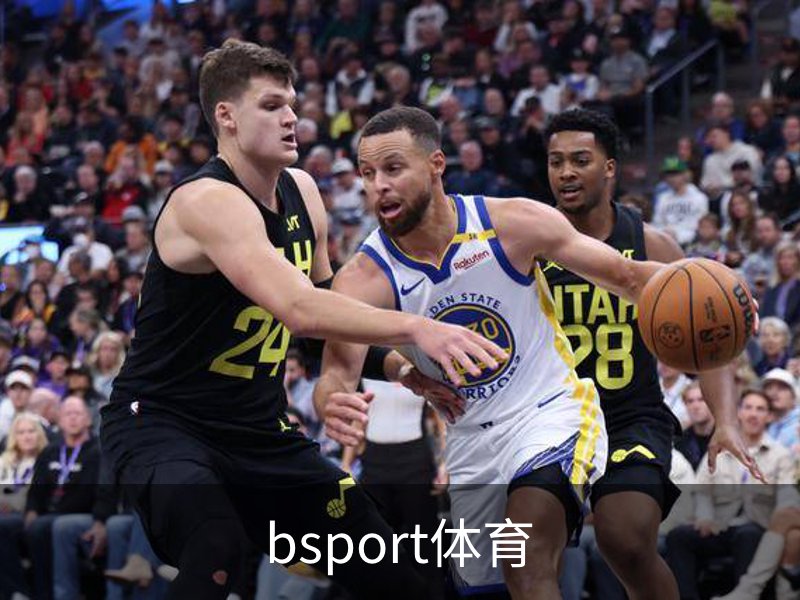 了解bsport体育